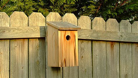 Cute Yard Crafts Birdhouse Plans With Adorable Designs