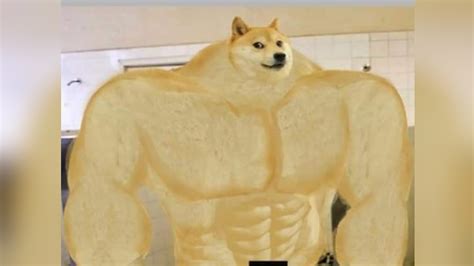 Upload only your own content. Swole Doge Transparent Cheems Png : Baby Doge Png : May 26, 2020 at 12:25pm edt in reply to kaye ...