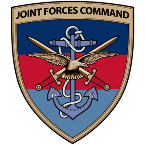 Joint Forces Command Dcmh