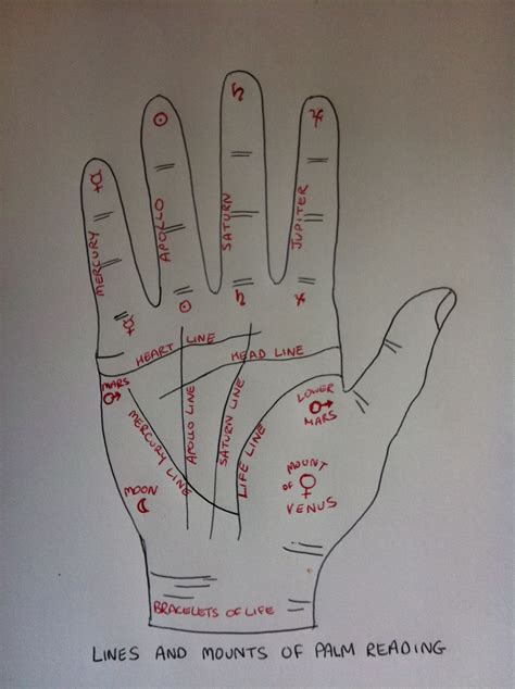 Palm Reading Guide Palmistry Guide Palm Reading Palmistry Tarot Reading