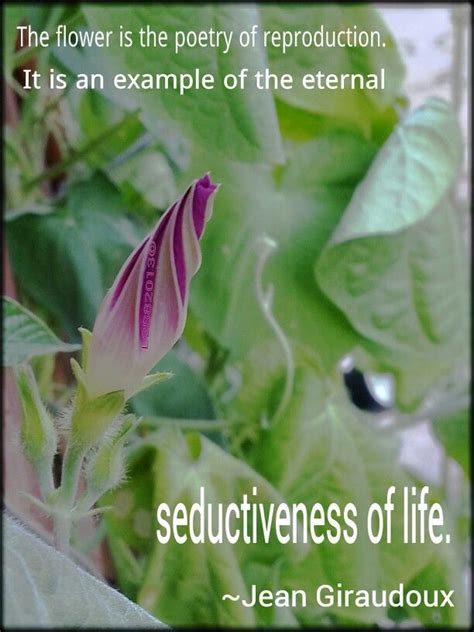 Large, searchable compilation of quotations arranged by topic. Garden Flower Quotes. QuotesGram