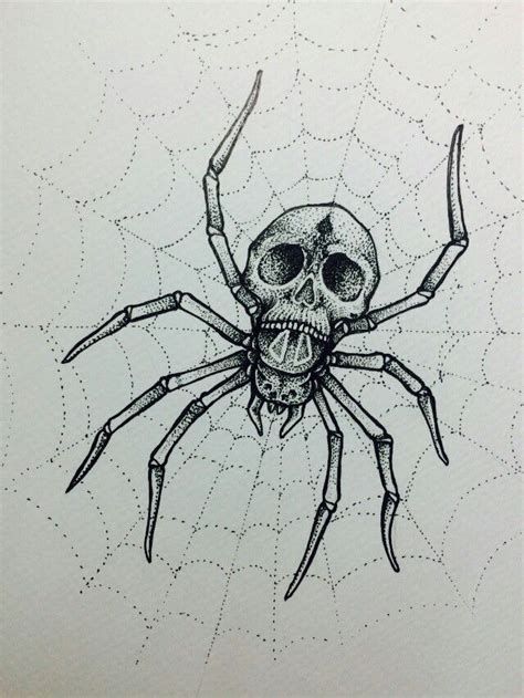 Spider Web And Skull Drawings