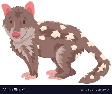 Quoll Cartoon Wild Animal Character Royalty Free Vector
