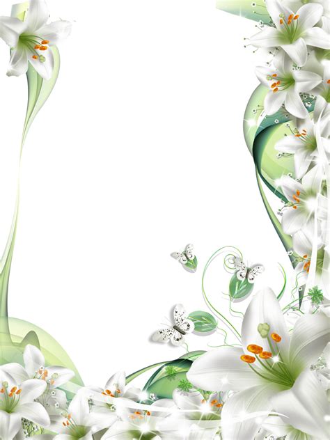 Download Lilies Frame Suitable For Sympathy Card Frames White Lily