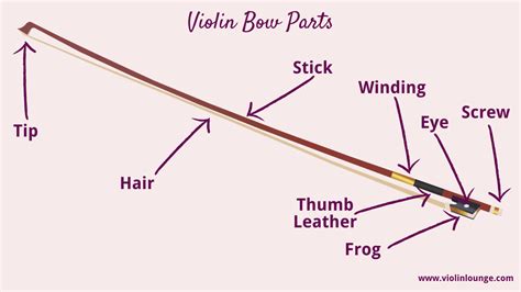 Violin Bow Parts Anatomy Function And Bow Division Violin Lounge