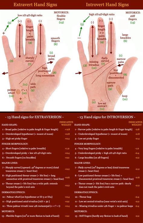 Hands Finger Length And Digit Ratio Hand News