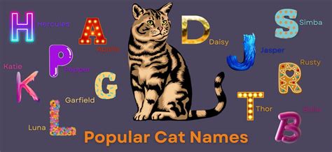 Popular Cat Names Top Kitten Names Of All Time Petstime
