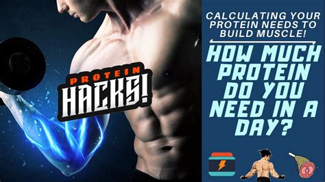 How To Calculate Grams Of Protein Needed Per Day Essential Guide To