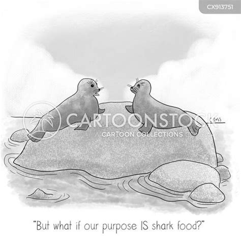 Shark Bait Cartoons And Comics Funny Pictures From Cartoonstock