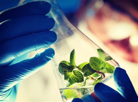 ¿qué Es La Biotecnología Agrotec
