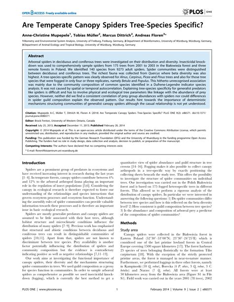 Tree species are such a common form of plant life that they often go unnoticed in our daily lives. (PDF) Are Temperate Canopy Spiders Tree-Species Specific?