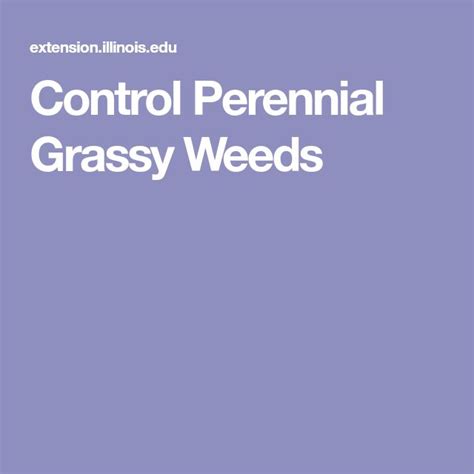 Control Perennial Grassy Weeds Perennials Weed Horticulture