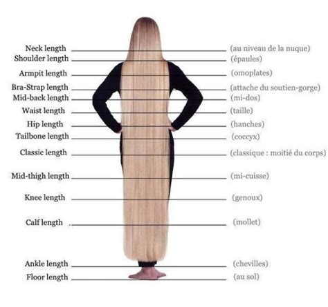 Different Length Of Hair Longueurs De Cheveux Longueur De Cheveux