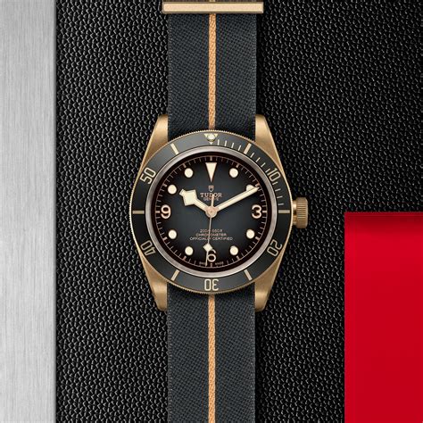 Tudor Black Bay Bronze M79250ba 0002 Rhodium