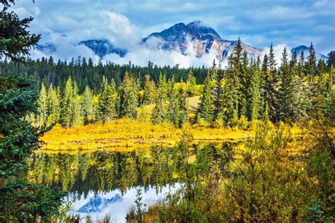 Warm Autumn Day In Park Jasper Stock Image Image Of Rockies Outdoors