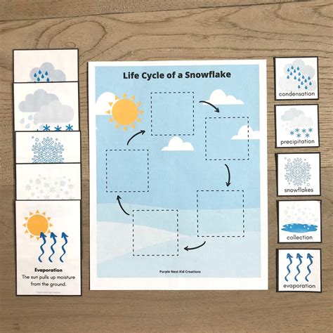 Life Cycle Of A Snowflake Worksheet Types Of Precipitation Winter