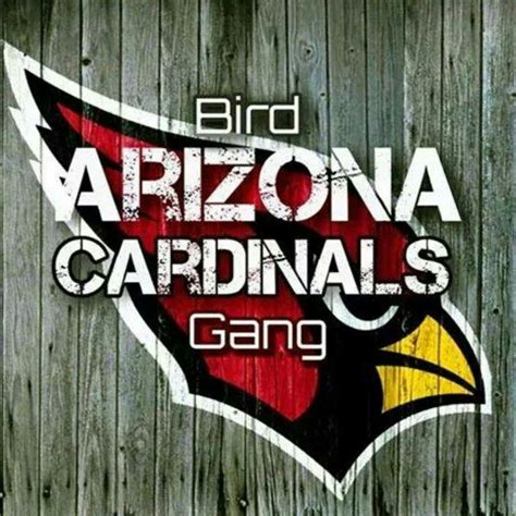 Arizona Cardinals Fans Nfl Arizona Cardinals Cardinals Arizona