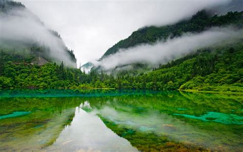 Jiuzhaigou National Park China Lake Clear Water And Green Forest