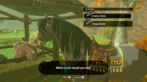 Zelda Breath Of The Wild Guide Everything You Need To Know About