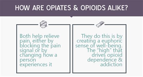 Opioid Vs Opiate Whats The Difference Addiction Treatment