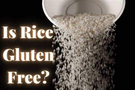 Is Rice Gluten Free Gluten Free Foodee