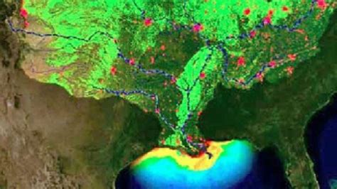 Dead Zone Gulf Of Mexicos Hypoxic Zone Predicted To Span 20000
