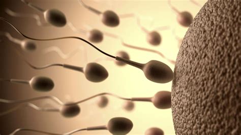 Wallpaper 1920x1080 Px 1sperm Abstract Abstraction Bokeh Cell Dna Egg Eggs Life Male