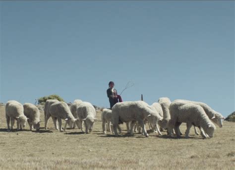 ¿te has preguntado cuáles son los países más grandes del mundo? Película: La casa más grande del mundo - ENFILME.COM