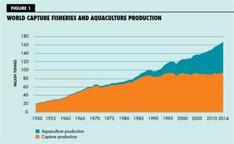 Imports and exports of fishery products annual summary, 2016. The State of the World Fisheries and Aquaculture - 2016 ...