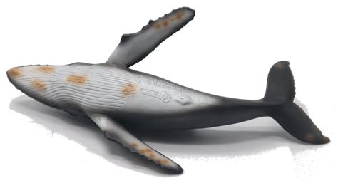 Collecta Sealife Humpback Whale 88347 Nice Curvespaint