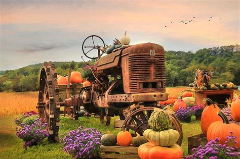 The Harvester Rural Fall Autumn Harvest Tractor Love Four Seasons