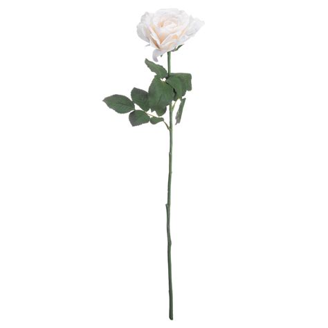 White Silk Garden Rose From Baytree Interiors