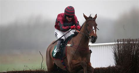 How Many Horses Have Died At The Grand National In Total Wales Online