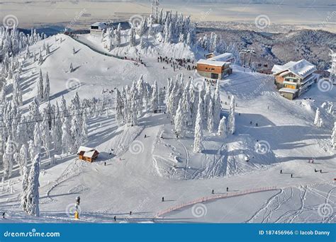 Ski Slope In Poiana Brasov Resort Postavaru Mountain Romania Royalty