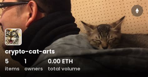 Crypto Cat Arts Collection Opensea