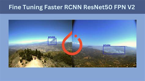 Torchvision Models Detection Archives Debuggercafe Faster Rcnn Object