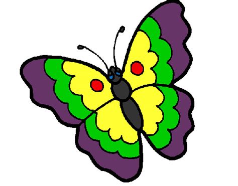 Dibujo de La mariposa colorida pintado por Davalos en Dibujos net el día a las