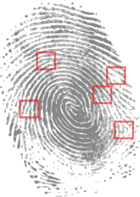 Fingerprinting with machine vision