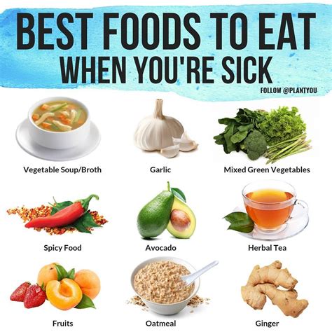plant based tips and recipes on instagram “have you gotten sick lately it s definitely been