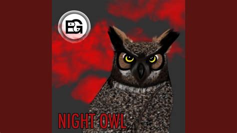 Night Owl Youtube