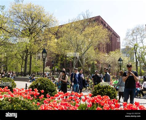 Springtime In Washington Square Park Nyc Stock Photo Alamy