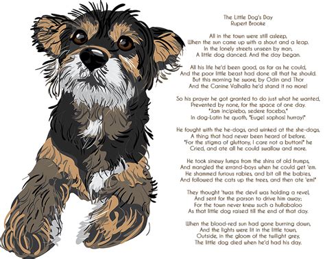 Poem For Sunday The Little Dogs Day Pet Samaritans