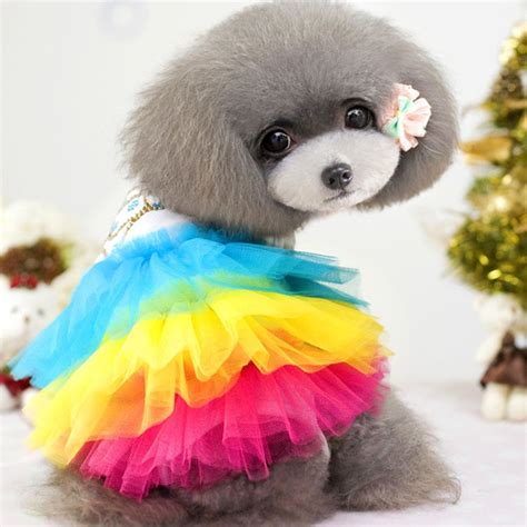 Rainbow Cute Girl Pet Dog Clothes Apparel Spring Summer Puppy Dress