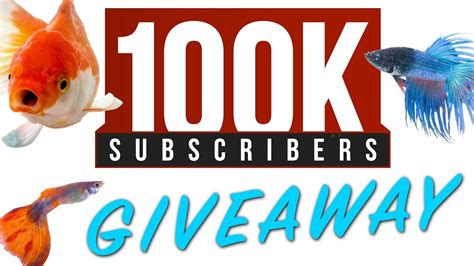 huge giveaway announcement youtube
