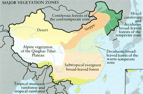 Vegetation zone deciduous forests of the temperate zone. Major Vegetation Zones in China