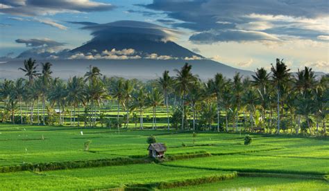 How To Spend 48 Hours In Canggu Bali