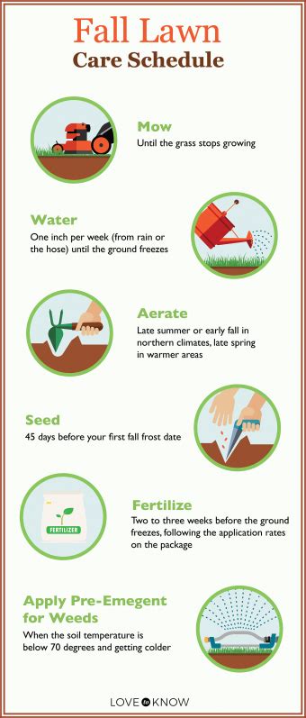 Fall Lawn Care Tips To Give Your Grass A Healthy Start Lovetoknow