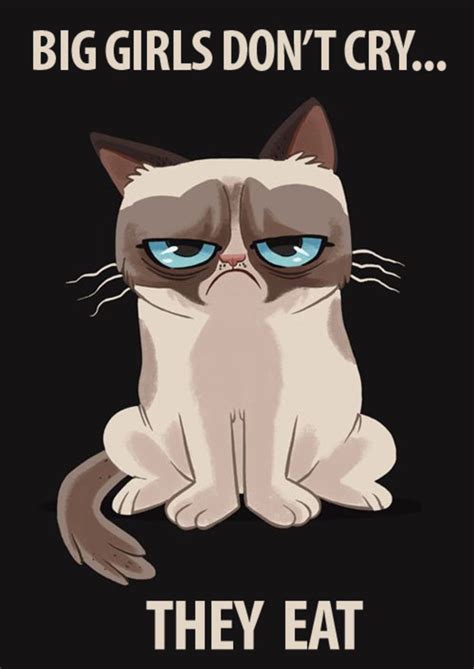 Big Girls Dont Cry Grumpy Cat Know Your Meme