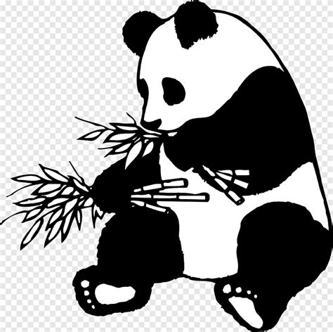 Free Download Giant Panda Drawing Line Art American Black Bear Eat