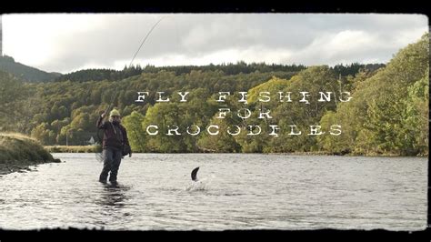 Spate Fly Fishing Presents Fly Fishing For Crocodiles Moldy Chum
